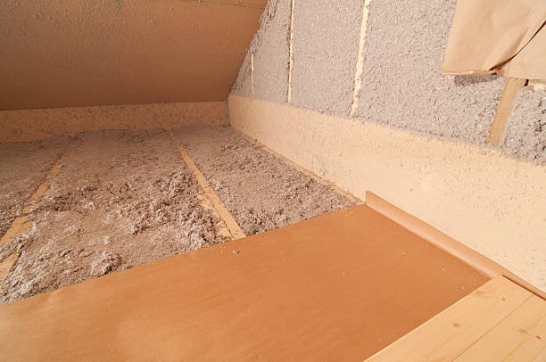 Best Insulation Installation Services in Coon Rapids, IA